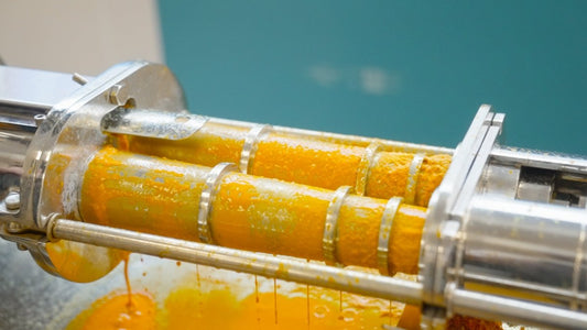 Slowjuicing met de schroefpers techniek - Paulies Ginger